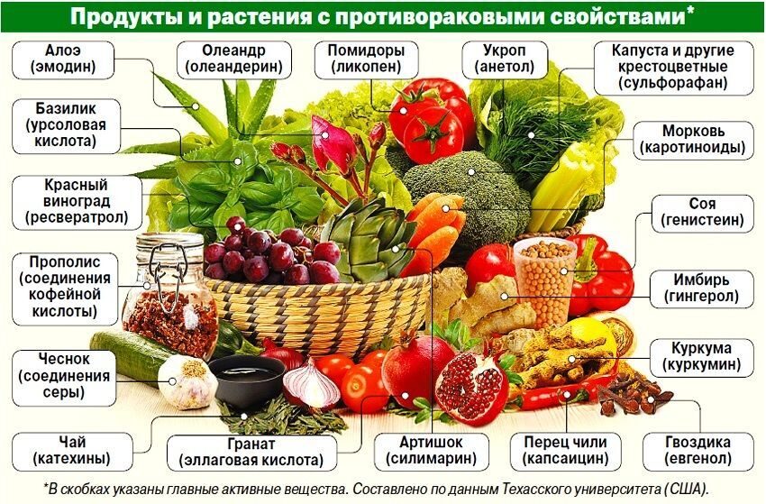 Продукты-и-растения-с-противораковым-свойством